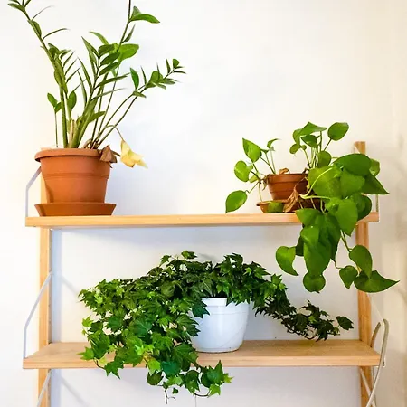 Gli Ezi Bnb: Casa Kappa Florence