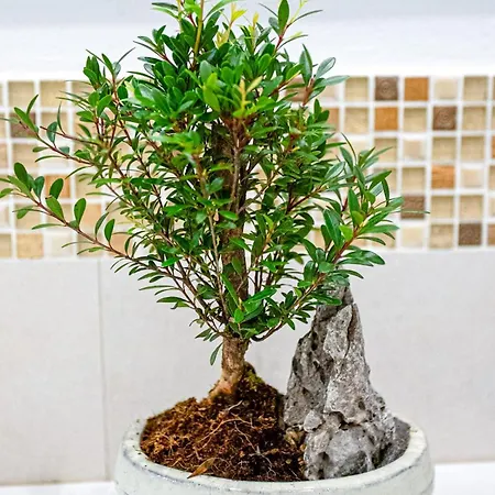 Gli Ezi Bnb: Casa Kappa Florence